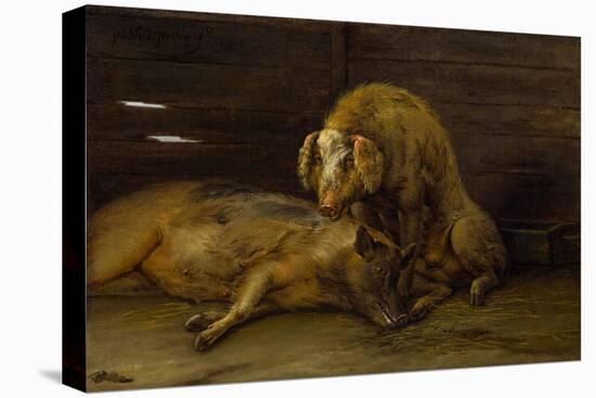 Two Pigs in a Sty, 1649 (Oil on Canvas)-Paulus Potter-Premier Image Canvas