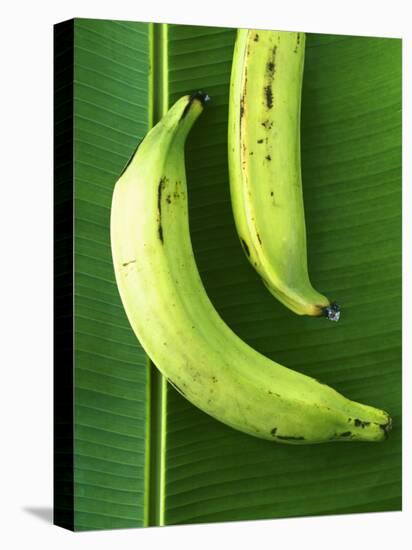 Two Plantains on a Banana Leaf-Armin Zogbaum-Premier Image Canvas