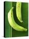 Two Plantains on a Banana Leaf-Armin Zogbaum-Premier Image Canvas