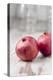 Two Pomegranates, Close-Up-Jana Ihle-Premier Image Canvas