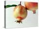 Two Pomegranates-null-Premier Image Canvas