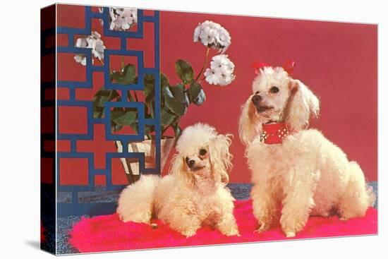 Two Poodles-null-Stretched Canvas