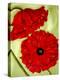 Two Poppies-Holly Carr-Premier Image Canvas