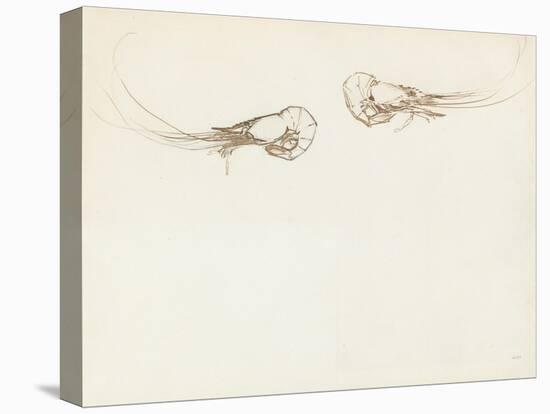 Two Prawns-John Singer Sargent-Premier Image Canvas