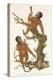 Two Primates on a Tree, 1823-Edward Donovan-Premier Image Canvas