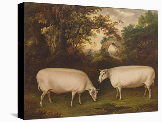 Two Prize Border Leicester Rams in a Landscape, 1800-Timothy Easton-Premier Image Canvas