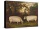 Two Prize Border Leicester Rams in a Landscape, 1800-Timothy Easton-Premier Image Canvas