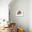 Two (Przewalski), 2013-Mark Adlington-Premier Image Canvas displayed on a wall