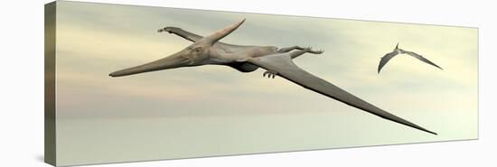Two Pteranodon Dinosaurs Flying in Cloudy Sky-null-Stretched Canvas