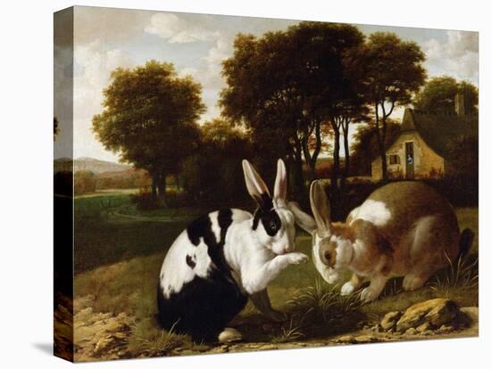 Two Rabbits in a Landscape, C.1650-null-Premier Image Canvas