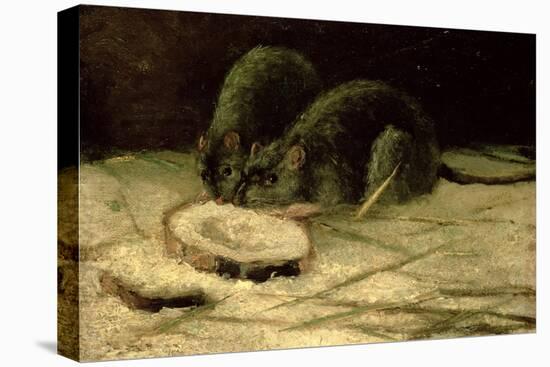 Two Rats, C.1884-Vincent van Gogh-Premier Image Canvas