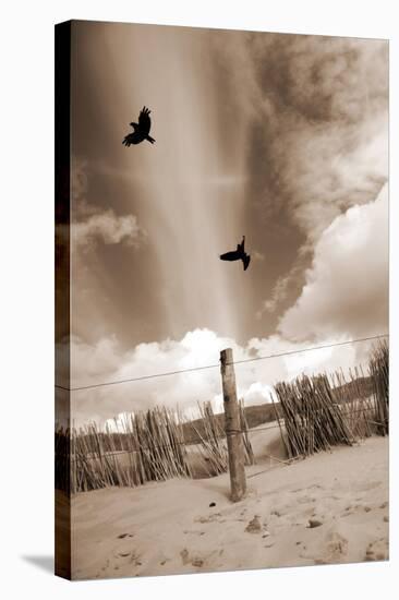 Two Raves Flying over the Dunes in Sepia Tones-Alaya Gadeh-Premier Image Canvas