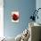 Two Red Apples-Kubistika-Premier Image Canvas displayed on a wall