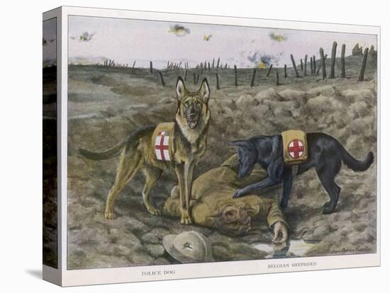 Two Red Cross Rescue Dogs a German Shepherd-Louis Agassiz Fuertes-Premier Image Canvas