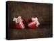 Two Red Ornaments Still Life-Jai Johnson-Premier Image Canvas