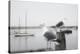 Two Seagulls & Boats-Moises Levy-Premier Image Canvas