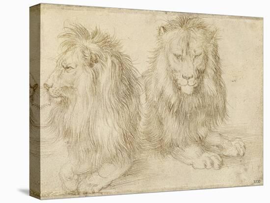 Two Seated Lions, 1521-Albrecht Dürer-Premier Image Canvas