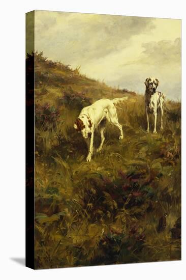 Two Setters Pointing at Quail-Percival L. Rosseau-Premier Image Canvas