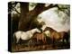 Two Shafto Mares and a Foal, 1774-George Stubbs-Premier Image Canvas