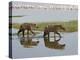 Two Spotted Hyena Walking Along the Edge of Lake Nakuru-James Hager-Premier Image Canvas