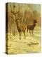 Two Stags in a Clearing in Winter-Rosa Bonheur-Premier Image Canvas