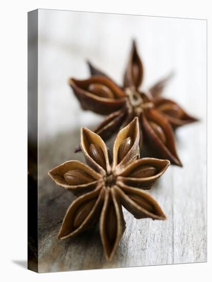 Two Star Anise-Victoria Firmston-Premier Image Canvas