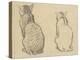 Two Studies of a Cat-Theophile Alexandre Steinlen-Premier Image Canvas