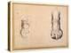 Two Studies of a Foot in Foreshortening-Agostino Carracci-Premier Image Canvas