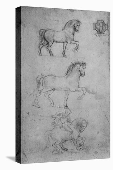 'Two Studies of a Horse and one of a Horse and Rider', c1480 (1945)-Leonardo Da Vinci-Premier Image Canvas