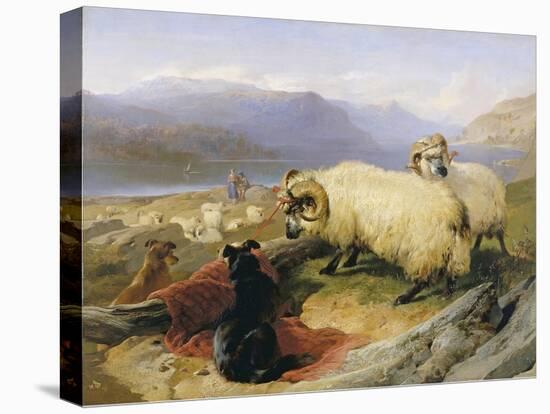 Two Tethered Rams with Coiled Horns Guarded by Two Sheep Dogs in a Mountain Landscape, 19th Century-Edwin Henry Landseer-Premier Image Canvas