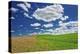 Two toned hill in the Flint Hills of Kansas-Michael Scheufler-Premier Image Canvas