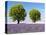 Two Trees in a Lavender Field, Provence, France-Nadia Isakova-Premier Image Canvas