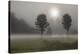 Two Trees & Sunburst, Logan, Ohio ‘10-Monte Nagler-Premier Image Canvas
