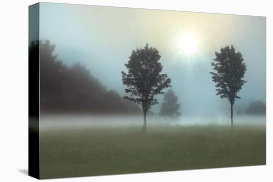 Two Trees & Sunburst-Monte Nagler-Stretched Canvas
