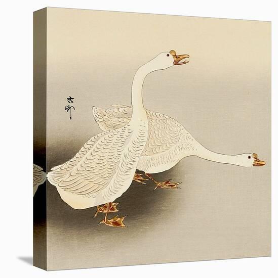 Two White Geese-Koson Ohara-Premier Image Canvas