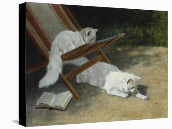 Two White Persian Cats with a Ladybird by a Deckchair, 19th Century-Arthur Heyer-Premier Image Canvas