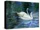 Two White Swans On Lake-balaikin2009-Stretched Canvas