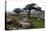 Two Windswept Trees, Near Hexworthy, Dartmoor, Devon, England, United Kingdom, Europe-David Lomax-Premier Image Canvas