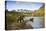 Two Year Old Grizzly Bears on Riverbank at Kinak Bay-Paul Souders-Premier Image Canvas