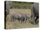 Two Young African Elephant, Masai Mara National Reserve-James Hager-Premier Image Canvas