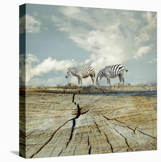 Two Zebras in a Surreal Landscape-Valentina Photos-Stretched Canvas