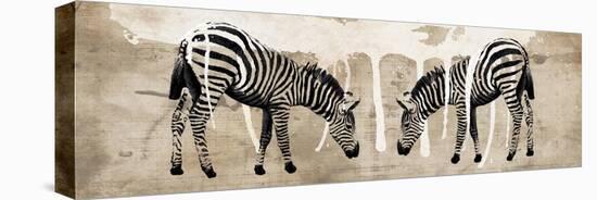 Two Zebras-Erin Clark-Premier Image Canvas