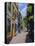 Typical Old Town Street, Marbella, Costa Del Sol, Andalucia, Spain-Fraser Hall-Premier Image Canvas