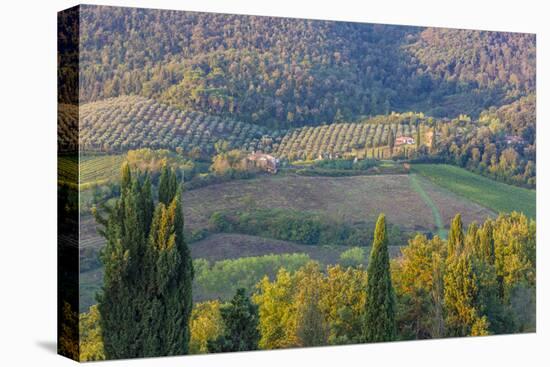 Typical Rolling Hills Landscape. Tuscany, Italy-Tom Norring-Premier Image Canvas