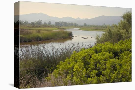 Typical Sardinian Landscape, Water Pond and Mountains in the Background, Costa Degli Oleandri-Guy Thouvenin-Premier Image Canvas