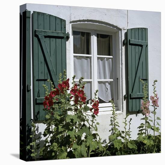 Typical Scene of Shuttered Windows and Hollyhocks, St. Martin, Ile de Re, Poitou-Charentes, France-Stuart Black-Premier Image Canvas