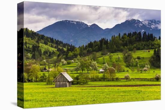 Typical Slovenian Landscape Between Lake Bled and Lake Bohinj-Matthew Williams-Ellis-Premier Image Canvas