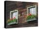 Typical Window Box, Otztal Valley, Tyrol, Austria, Europe-Gary Cook-Premier Image Canvas