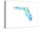 Typographic Florida Cool-CAPow-Stretched Canvas