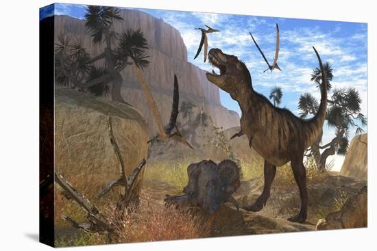 Tyrannosaurus Rex Attempts to Eat His Triceratops Kill While Pteranodons Harass Him-null-Stretched Canvas